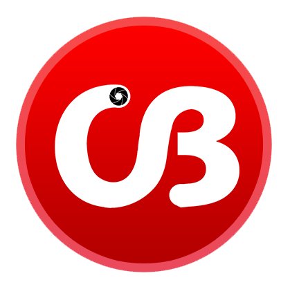 Ghana Susu & Loan Services Logo